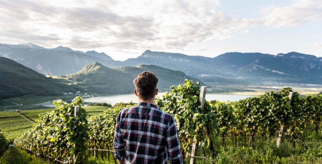 Vinum Hotels Südtirol