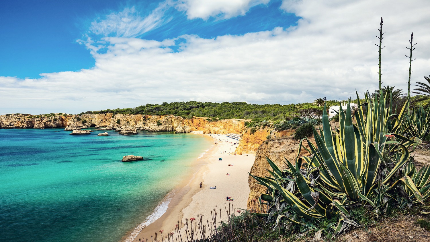 Strände an der Algarve: Das sind die 7 schönsten - Falstaff Travel