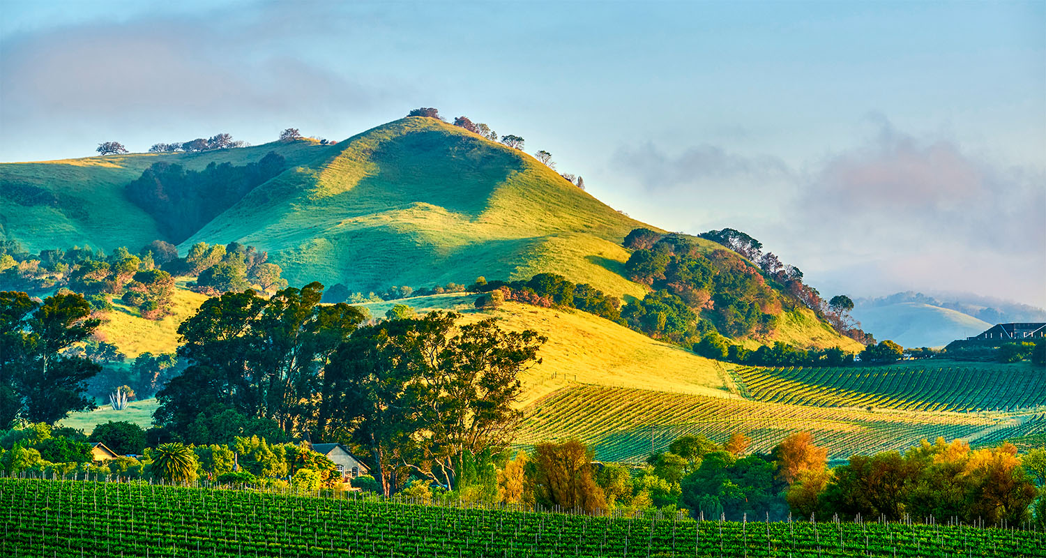 Kalifornische Weinregion: Napa Valley - Falstaff TRAVEL