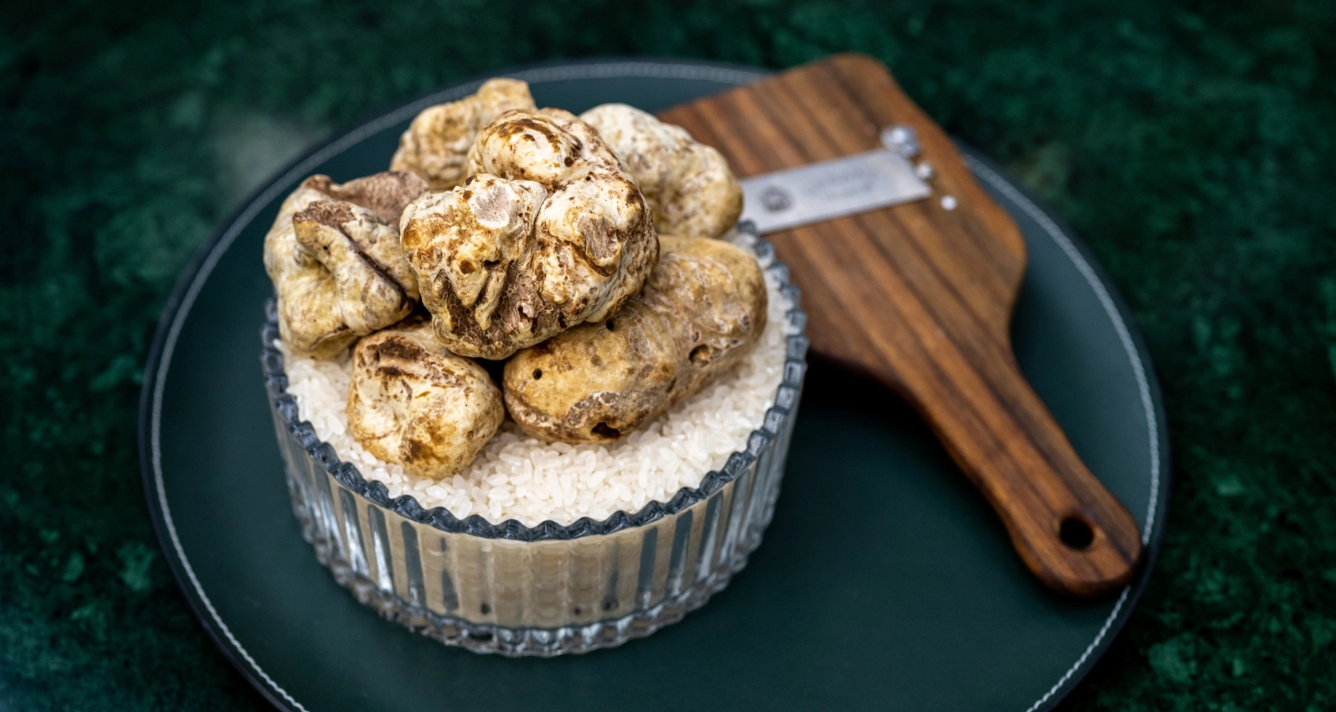 Trüffelherbst in Istrien: Köstliches für Gourmets