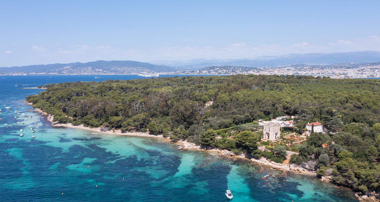 Le Grand Jardin Cannes - Insel