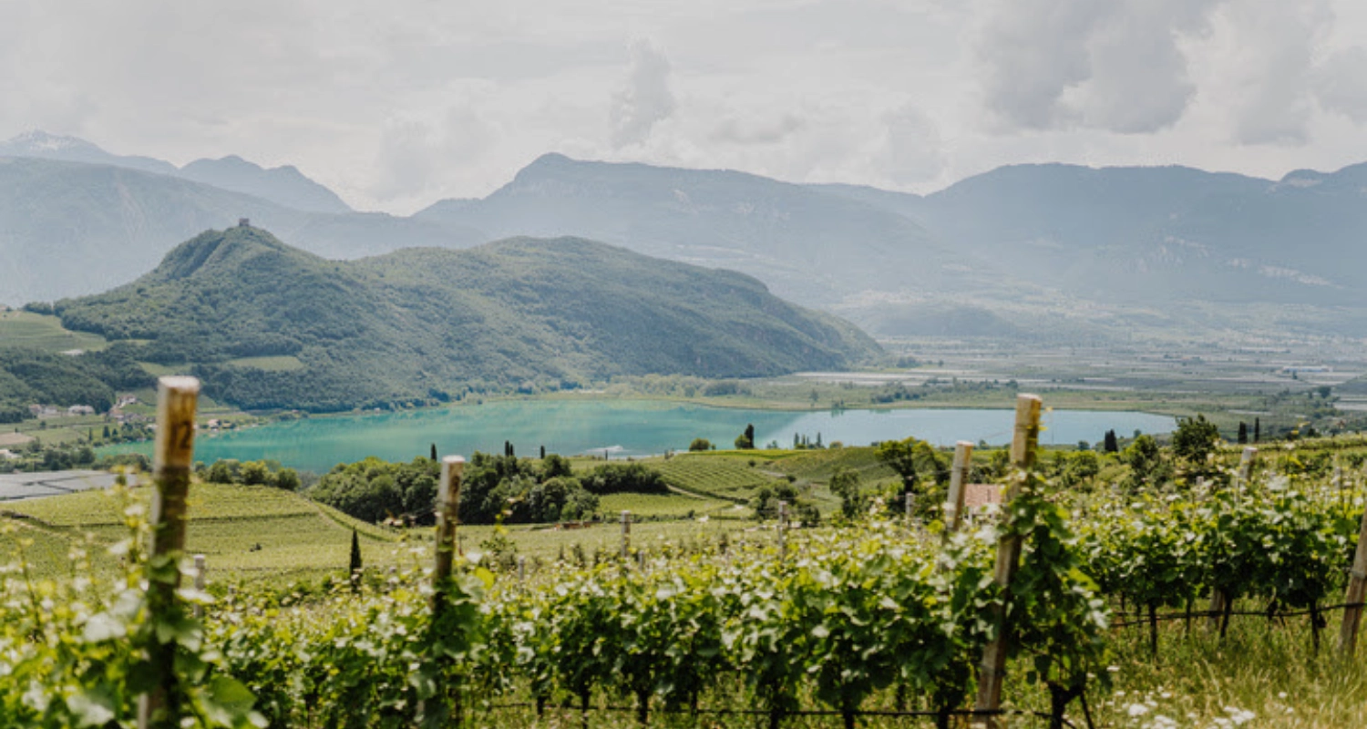 Urlaub am Weingut: Die schönsten Adressen in Südtirol