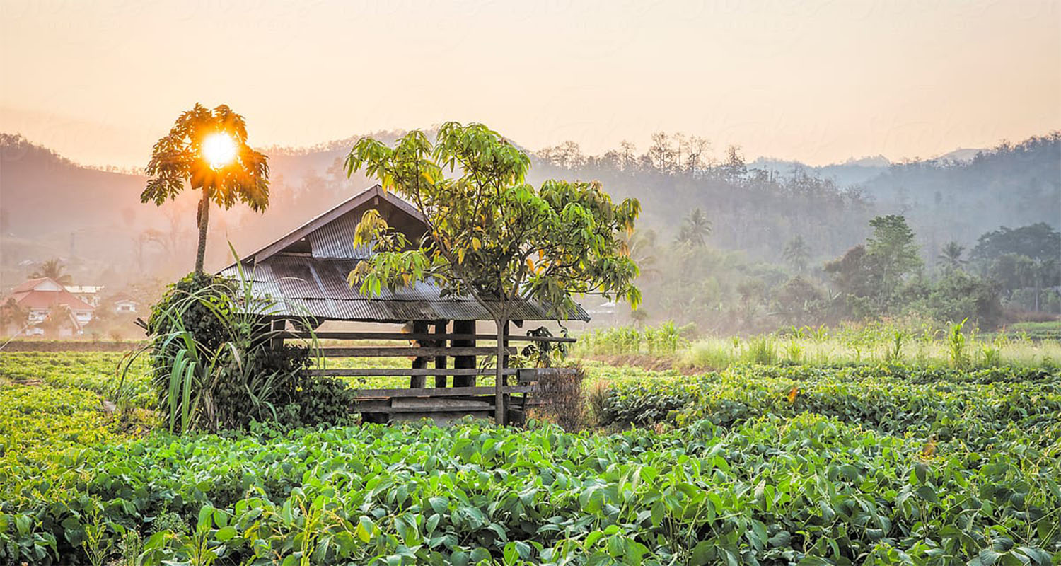 Warum Chiang Mai auf unserer Bucketlist für 2025 steht