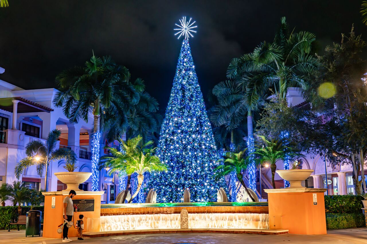 Weihnachtsbeleuchtung Miami, Shutterstock