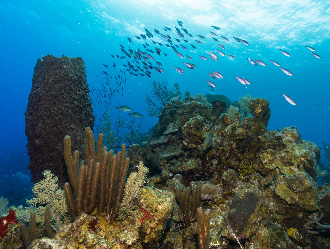 Winter in Belize